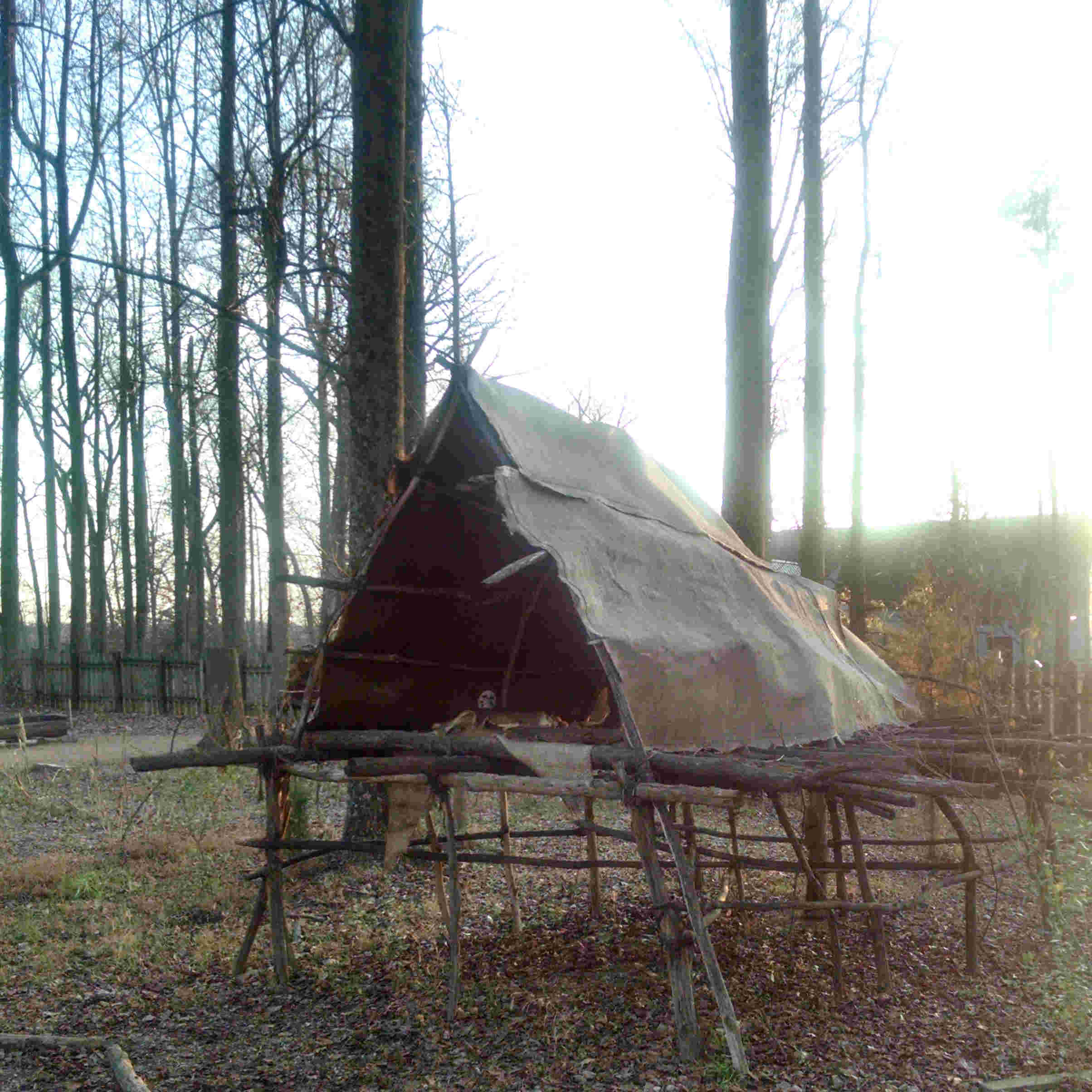 Proctor Plantation, Henricus Settlement