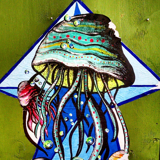 1505-SA-Cancun-Alex_Lechuga-Jellyfish