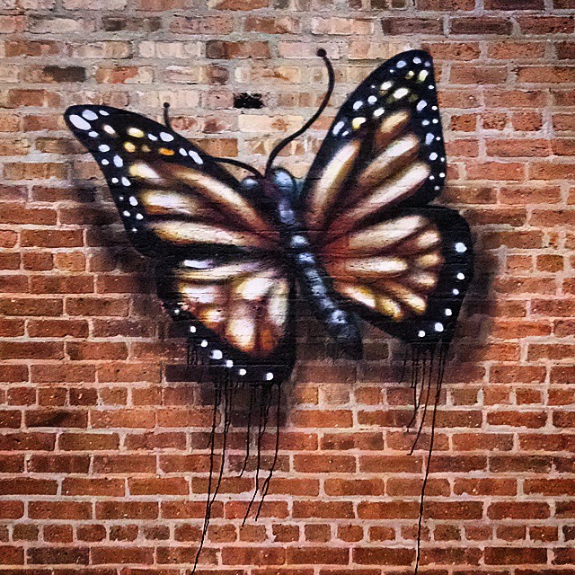 1505-SA-Chicago-Mrprvrt-Butterfly