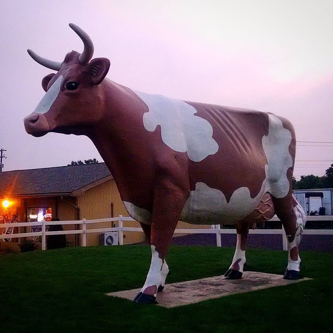 1507-PL-Wilkes_Barre-Cow