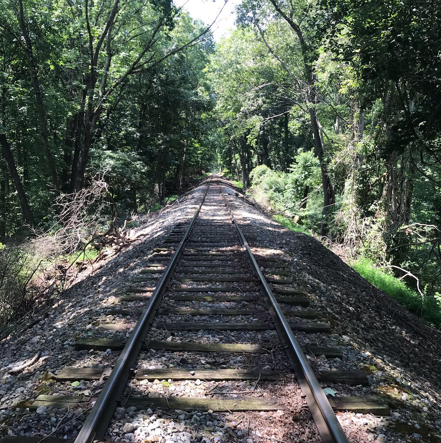 A Chapter-by-Chapter Account of Light in August by William Faulkner